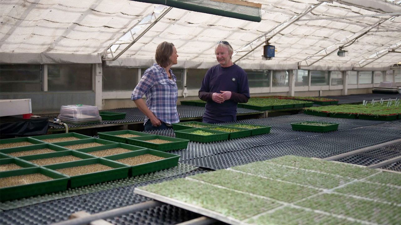 Gardening Australia
