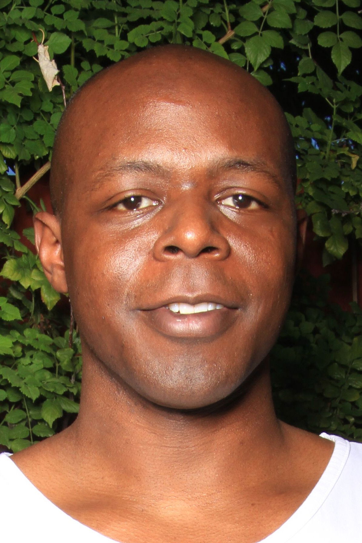 et billede af Will Tile