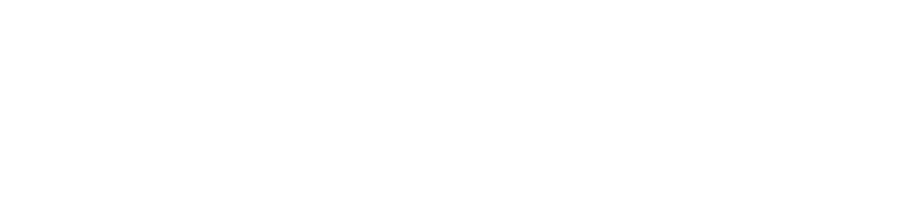 L'Inconnue