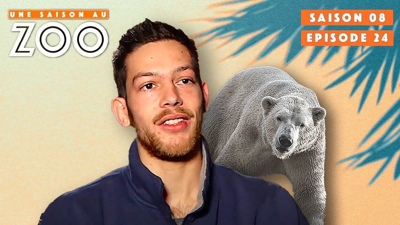 Une saison au zoo