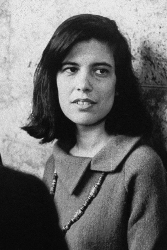 et billede af Susan Sontag