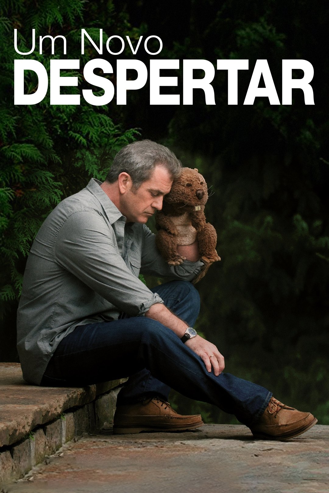 Um Novo Despertar Um Novo Despertar