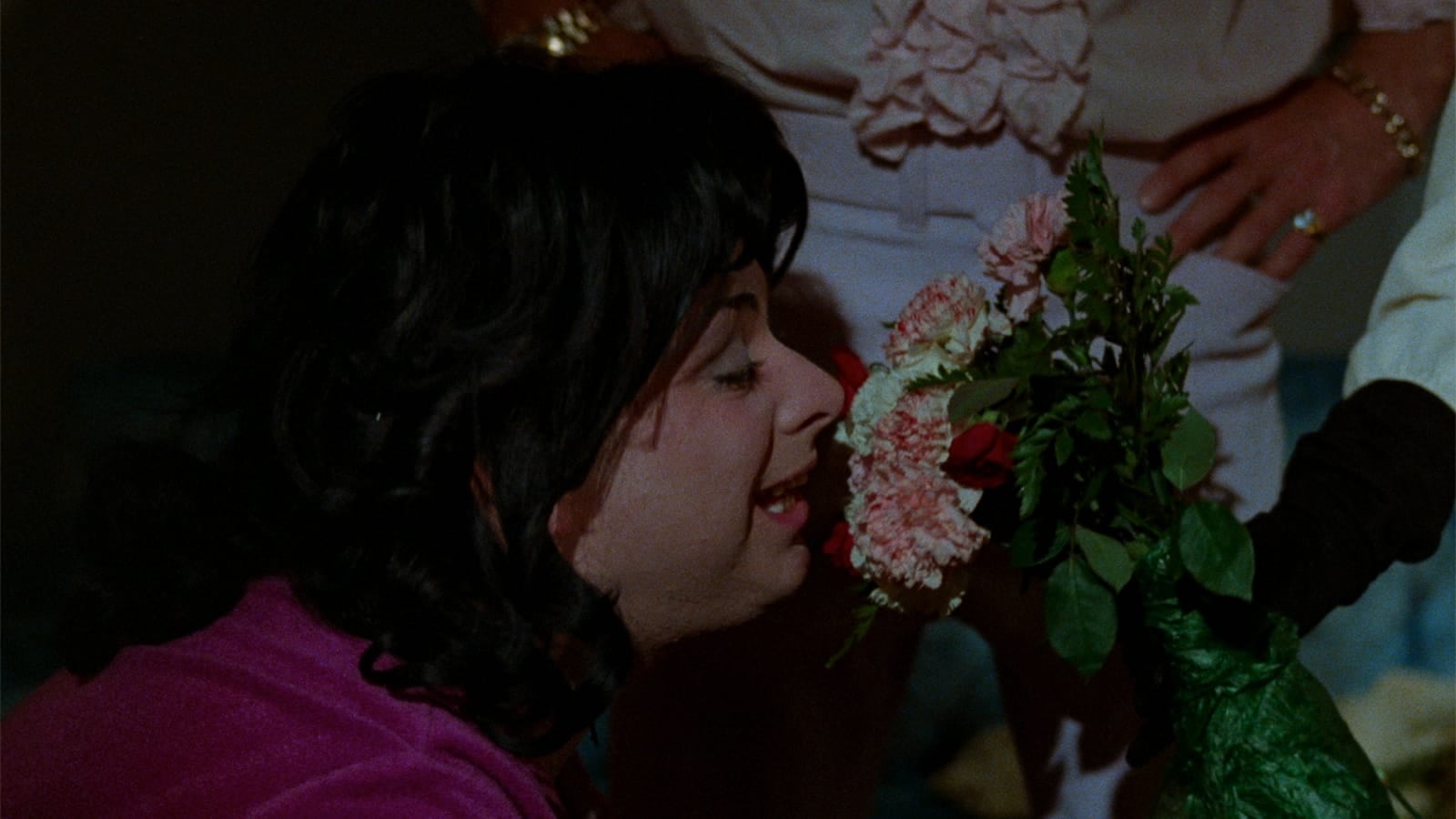 Polyester (1981)