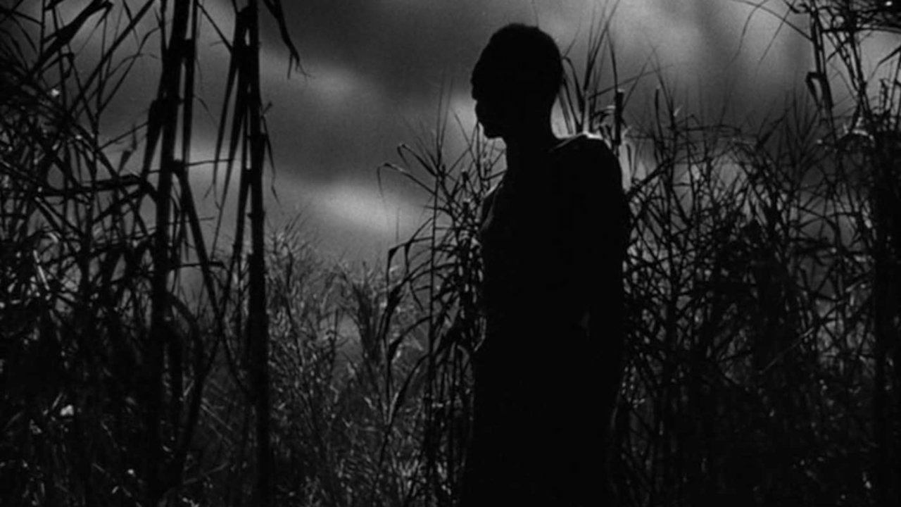 Shadows in the Dark: The Val Lewton Legacy