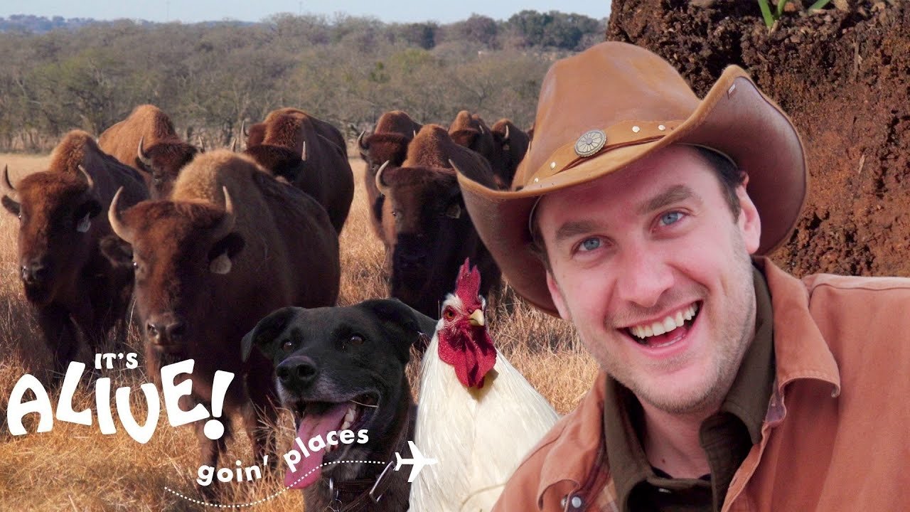 Thumbnail for Brad Goes Ranching in Texas Season 1 Episode 1