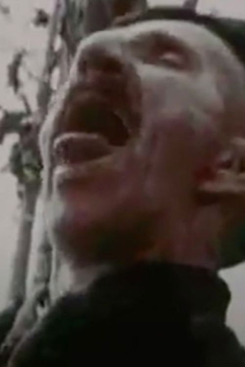 Plakat, der markedsfører Il vero naif