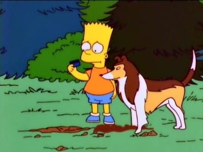 The Simpsons Season 8 :Episode 20  The Canine Mutiny