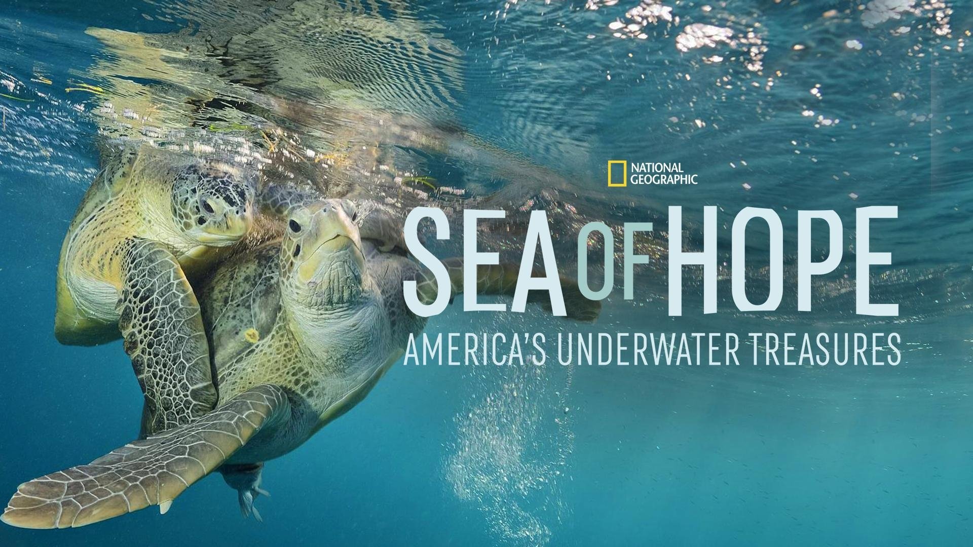 Sea of Hope: America's Underwater Treasures (2017)