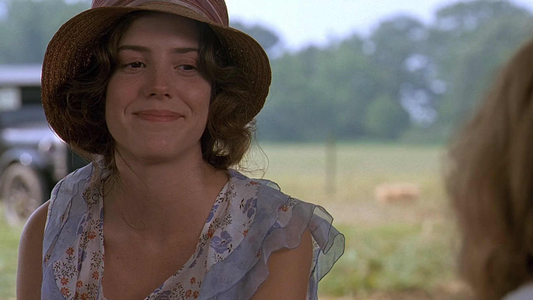 Fried Green Tomatoes