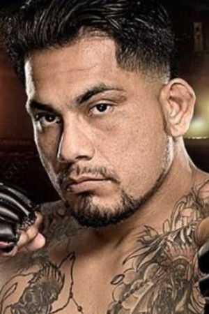 et billede af Poppies Martinez