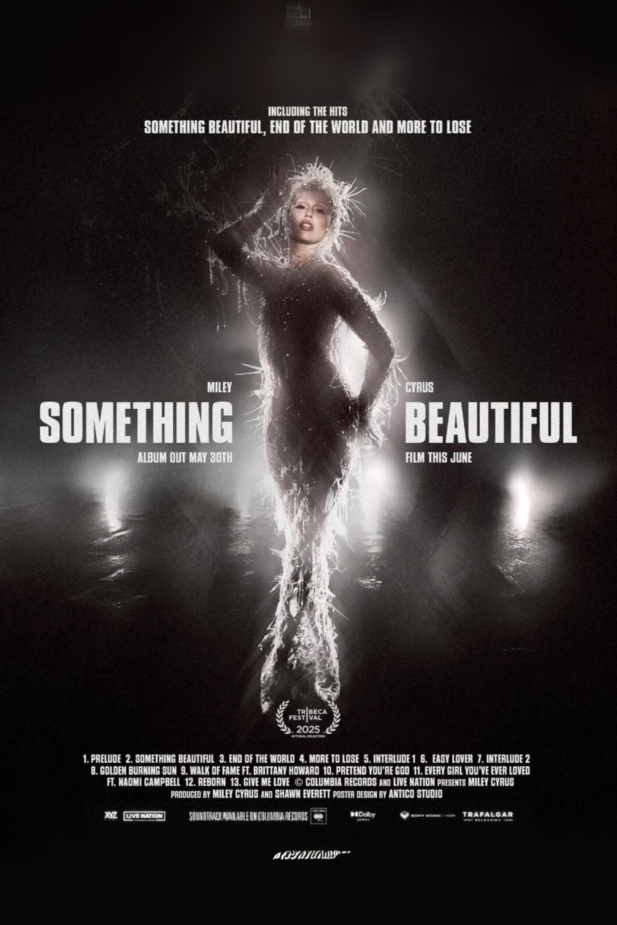 Miley Cyrus: Something Beautiful
