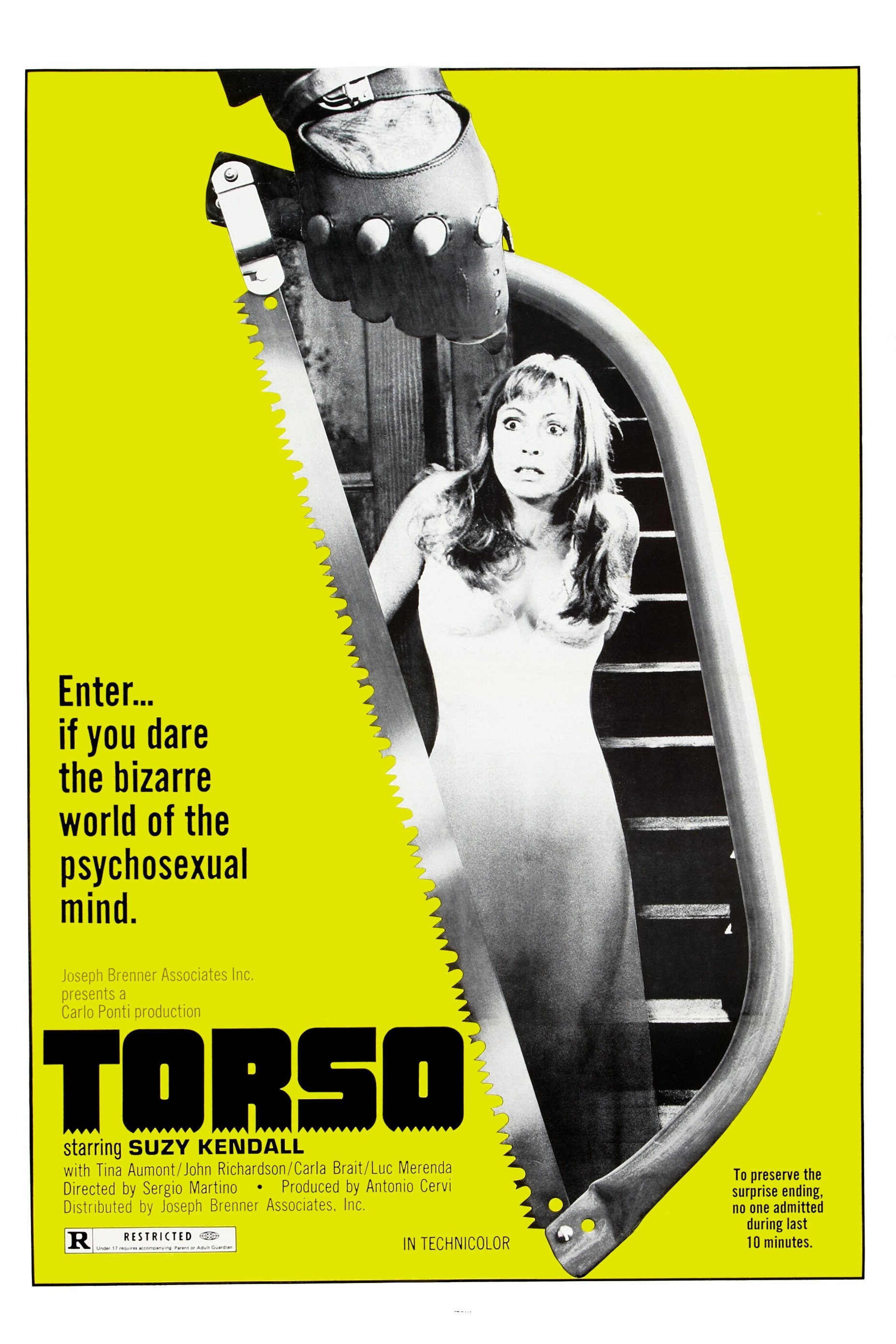 Torso