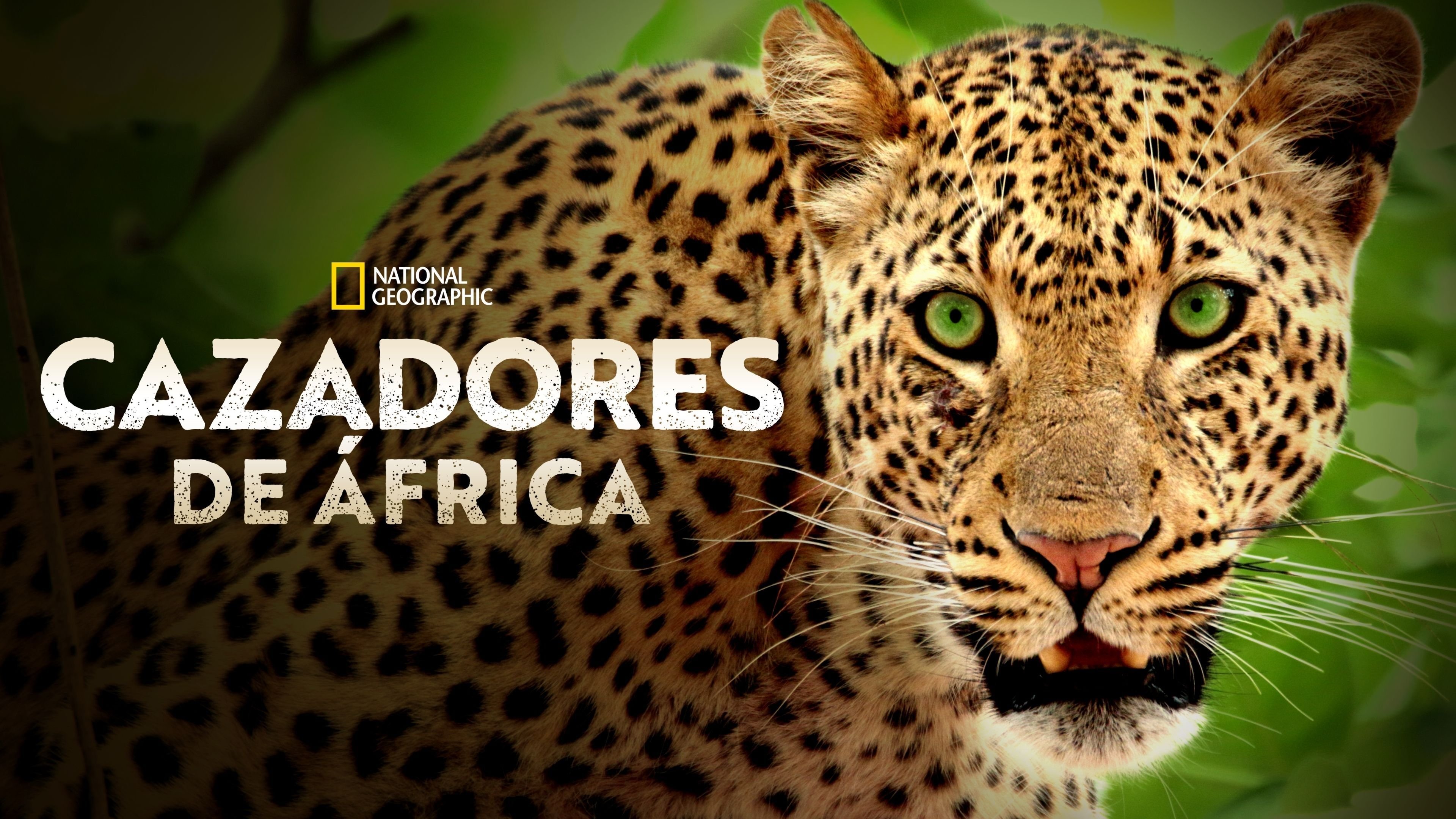 Africa's Hunters