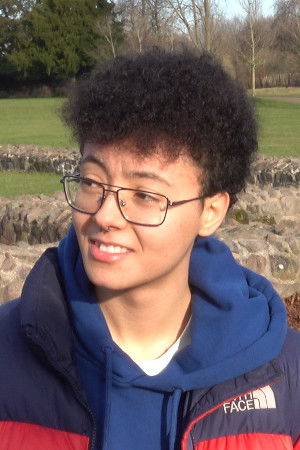 et billede af Diesel Wint