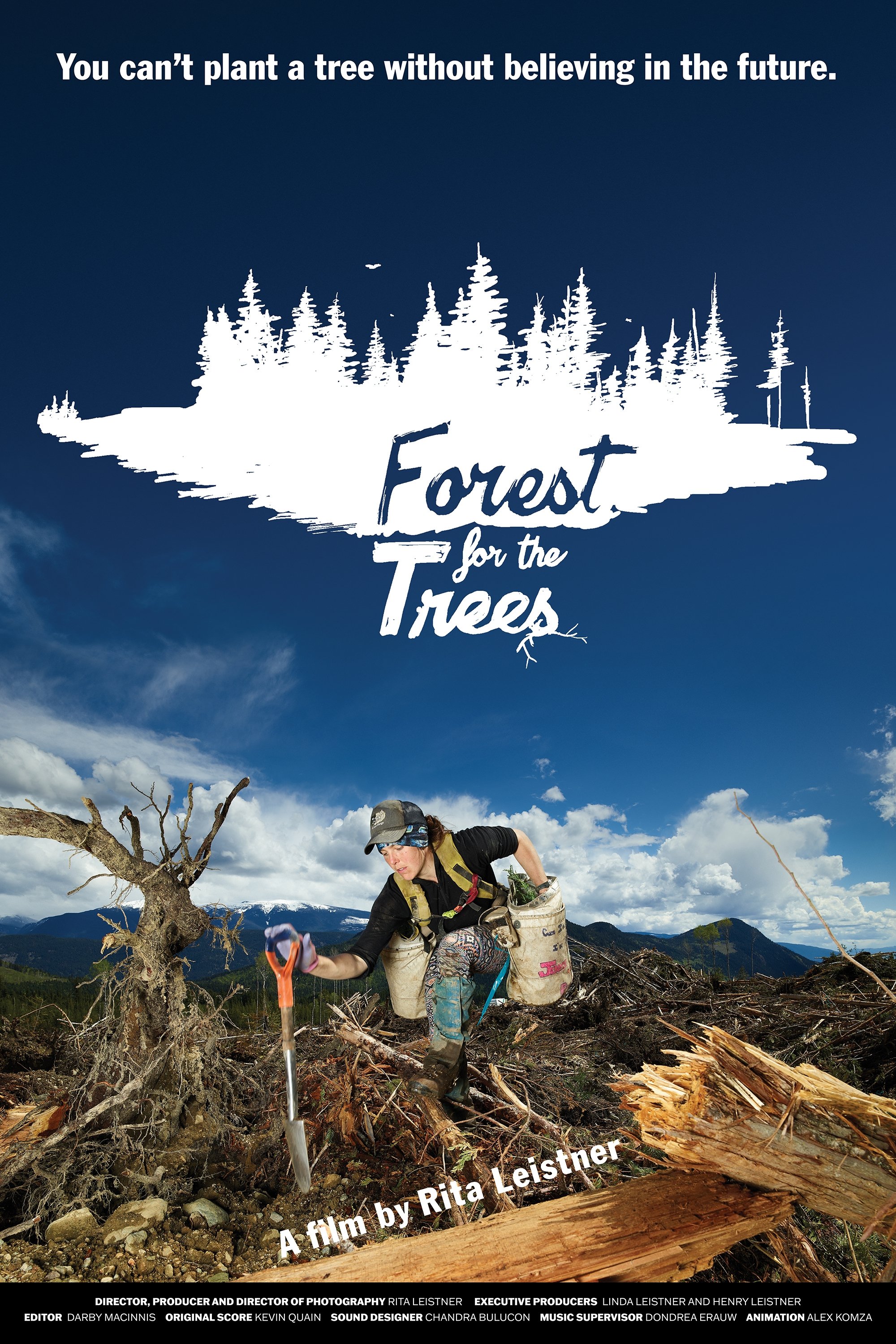 Forest for the Trees