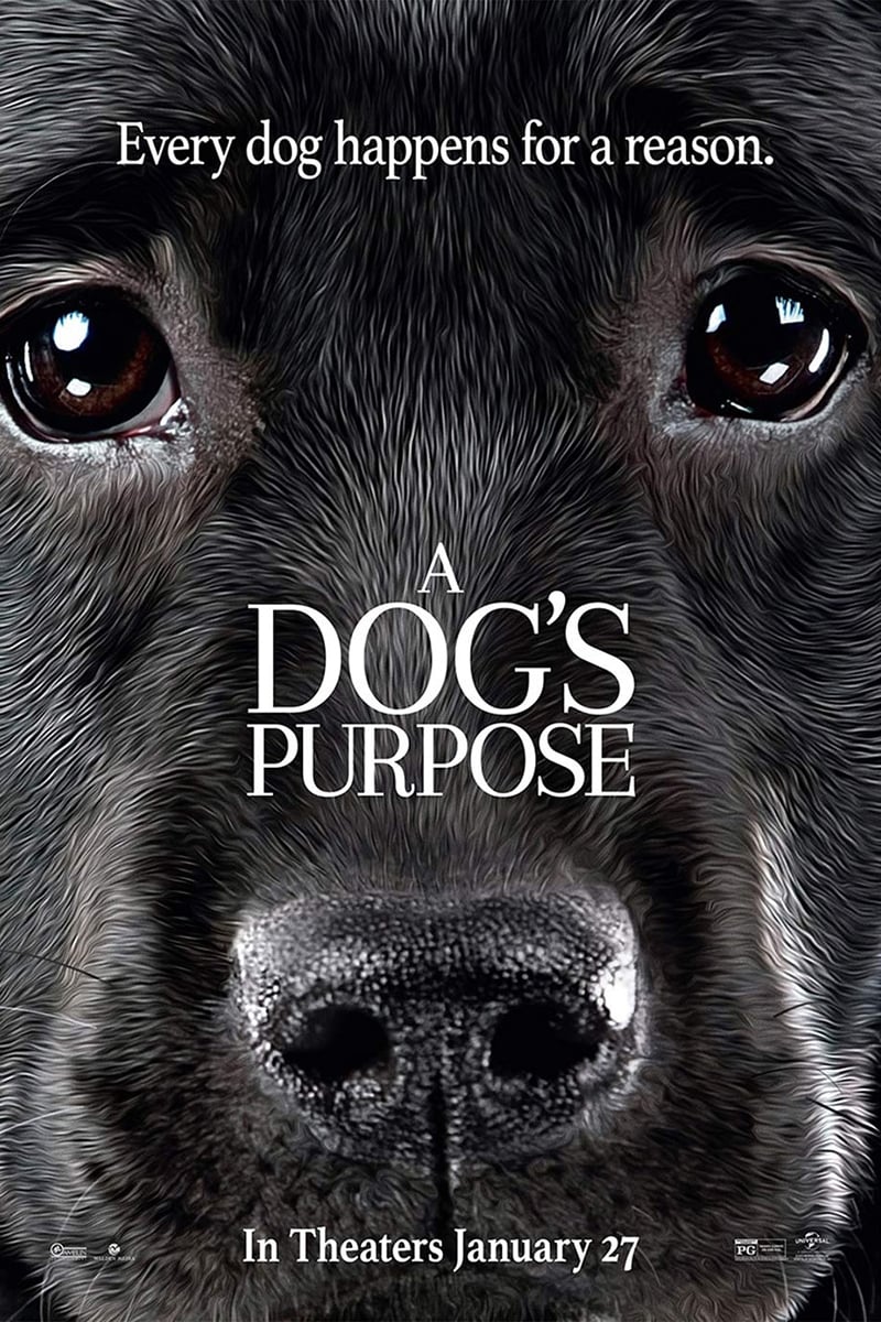 Image A Dog's Purpose