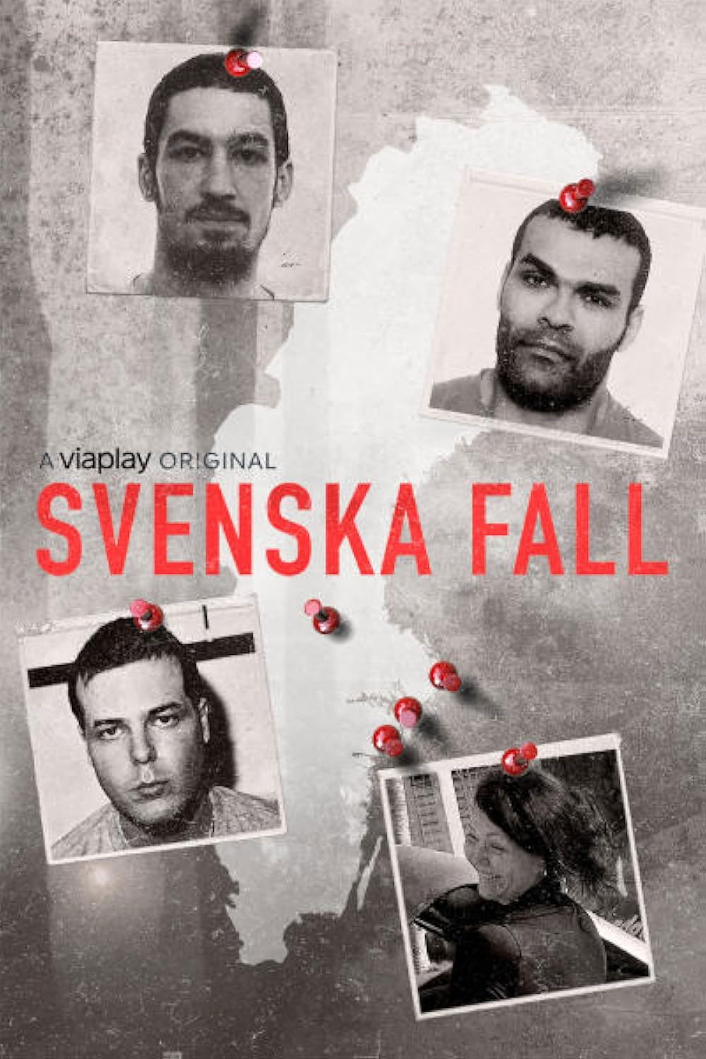 Svenska fall - Season 4