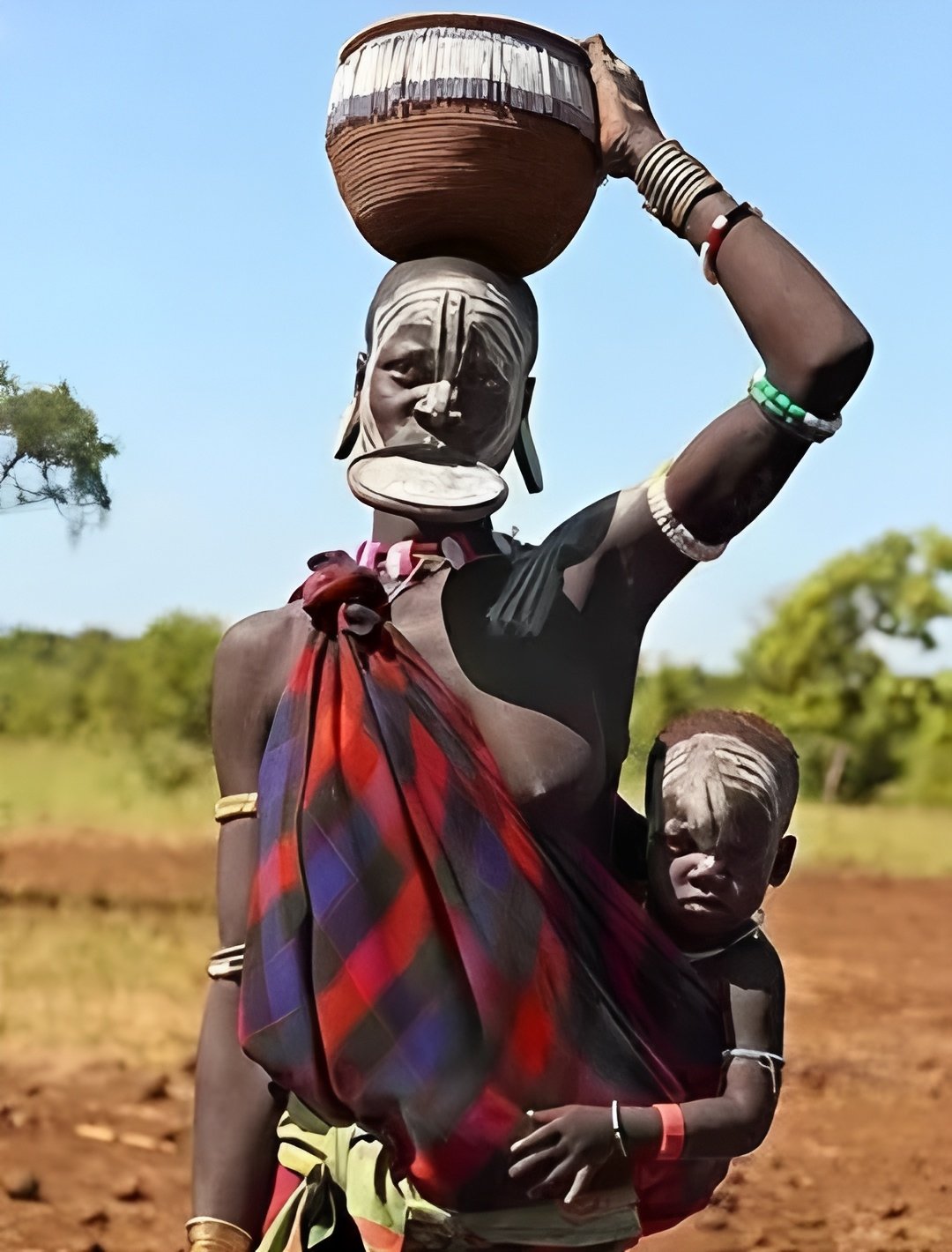 Tribes