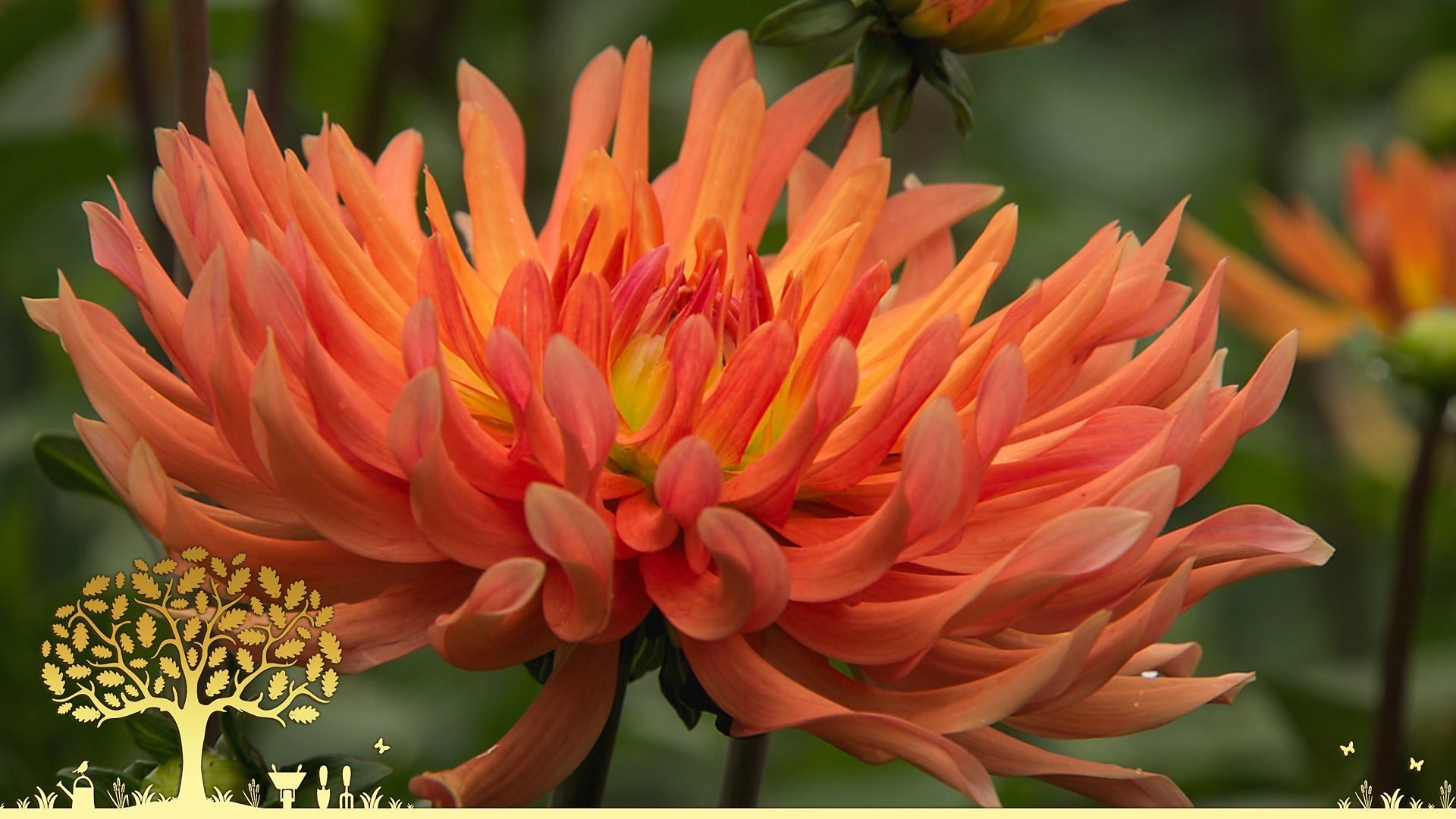 Gardeners' World 0x24