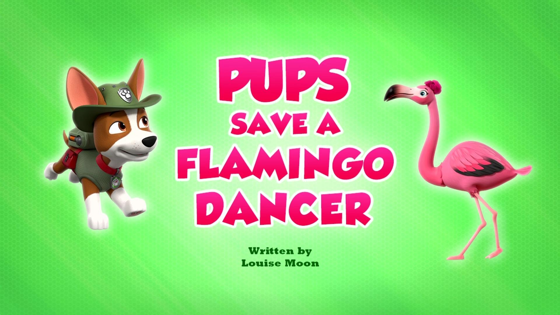 Episode 40 - I cuccioli salvano un fenicottero ballerino
