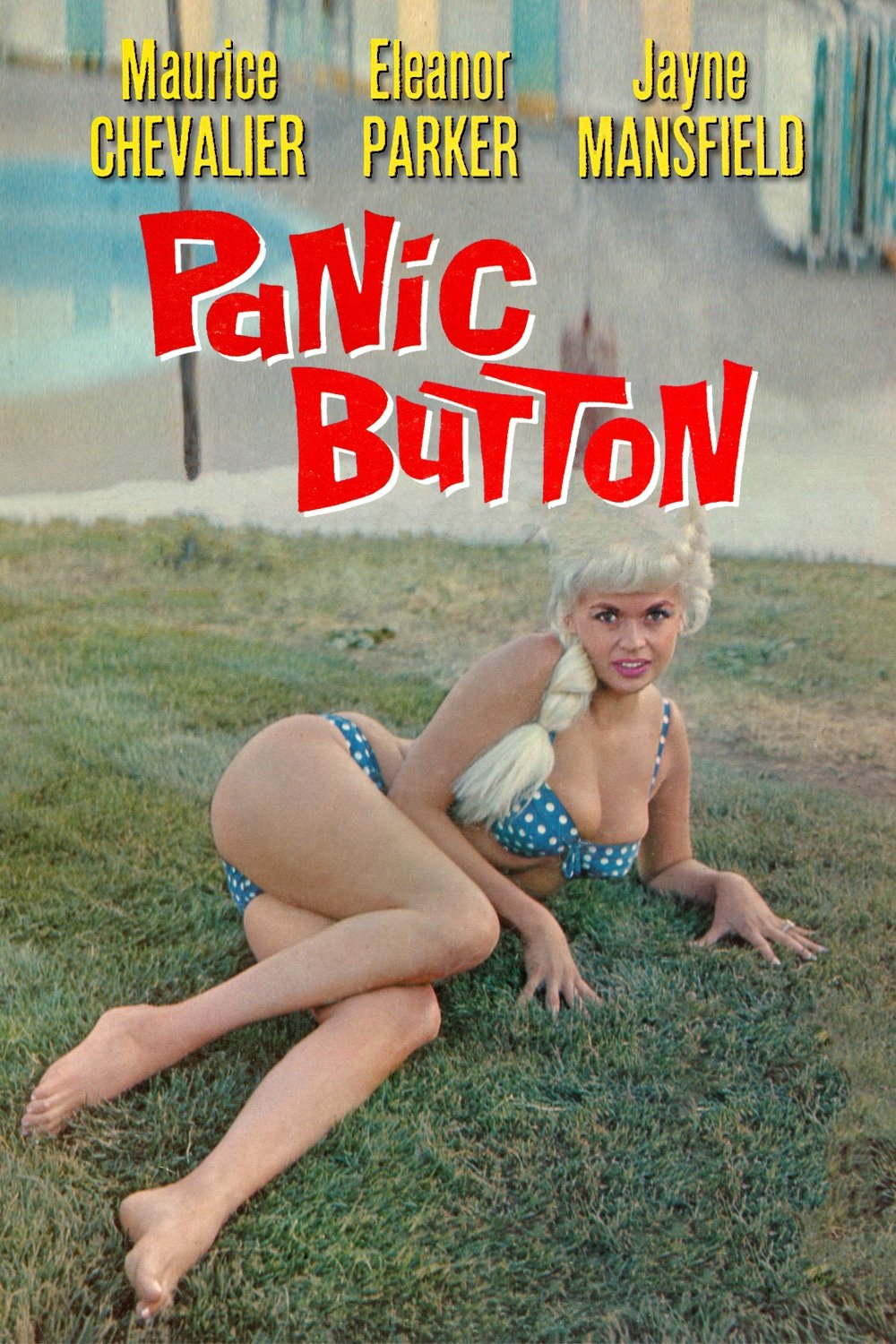 Panic Button