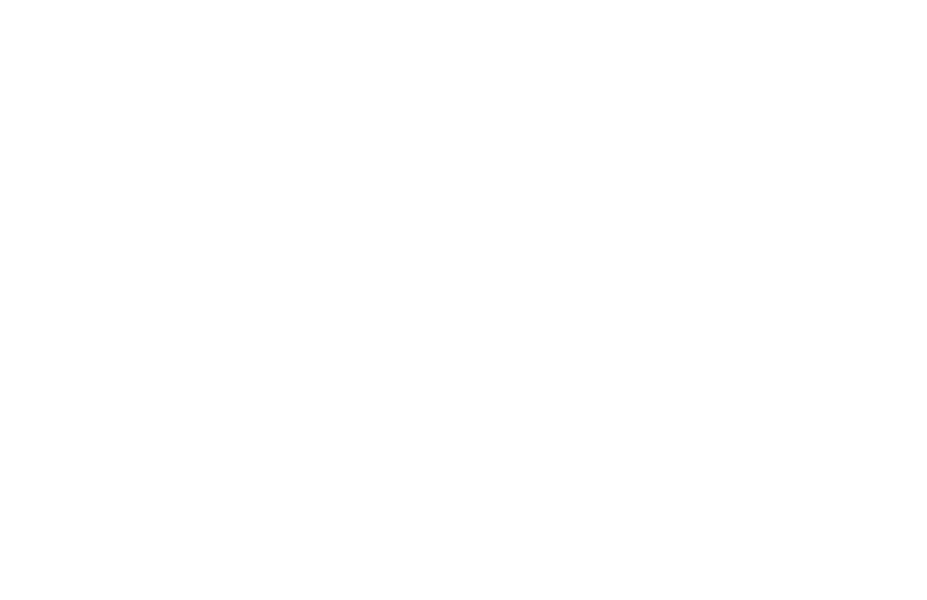 Tiny House Nation Logo