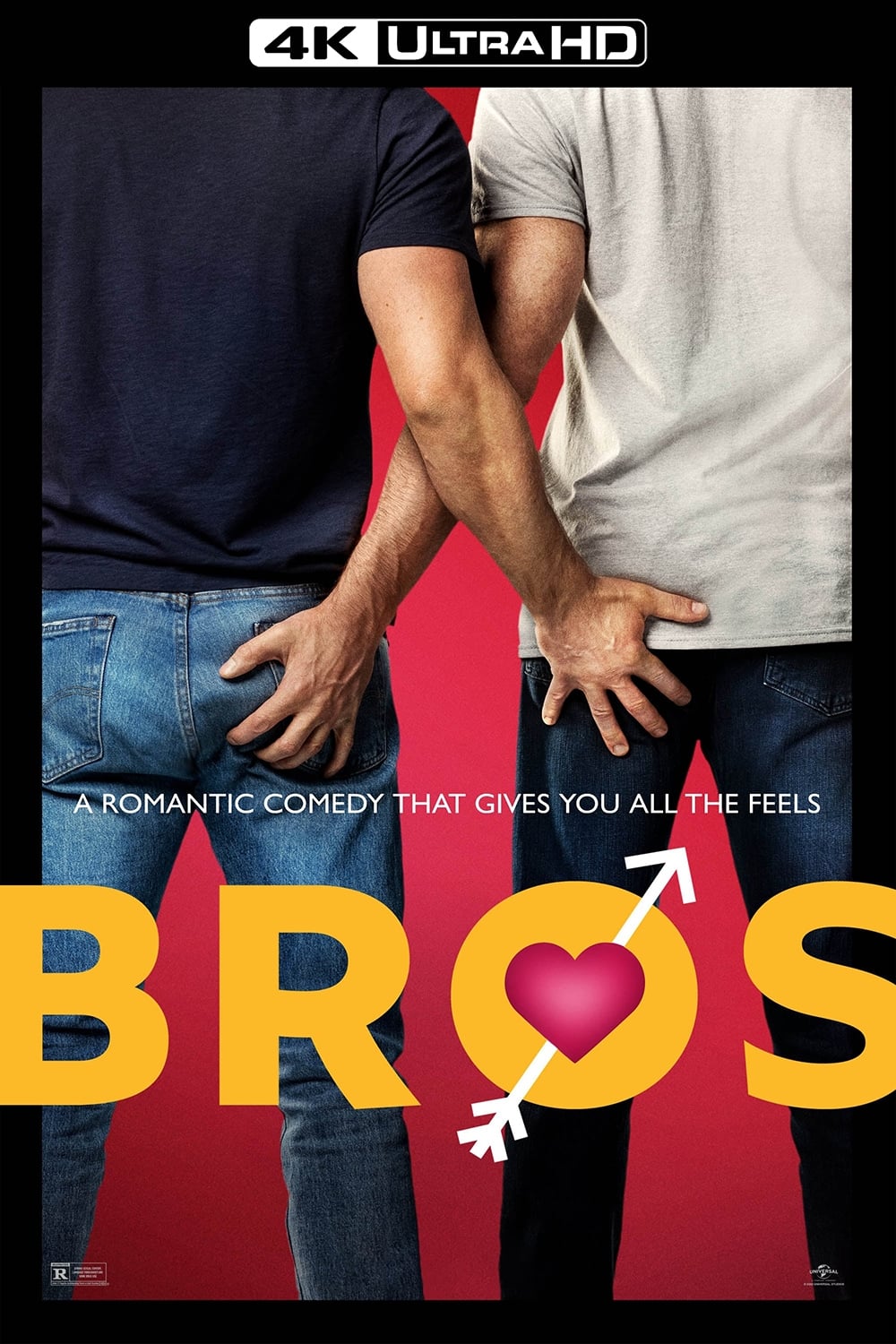 Bros Movie poster