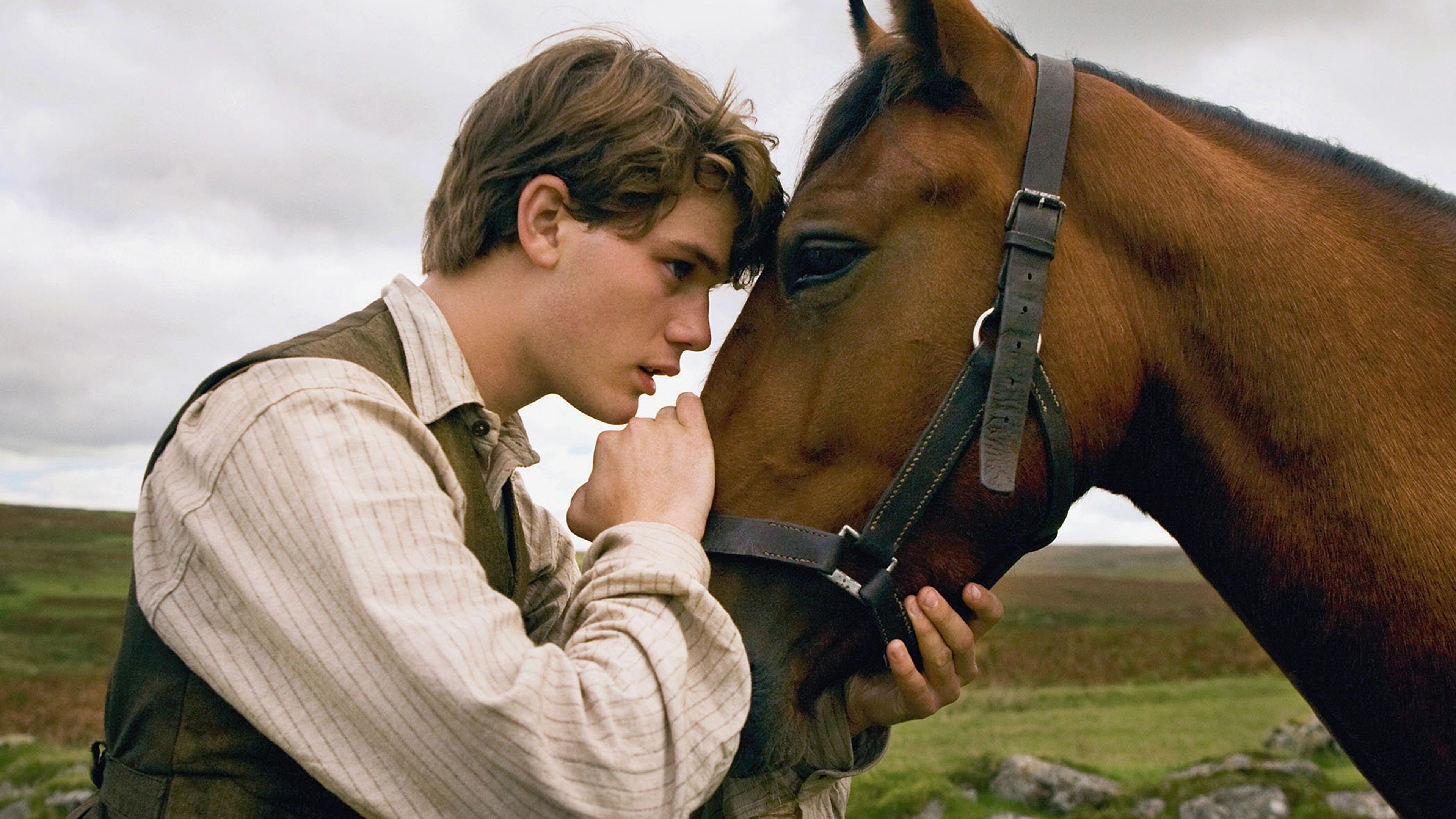 War Horse