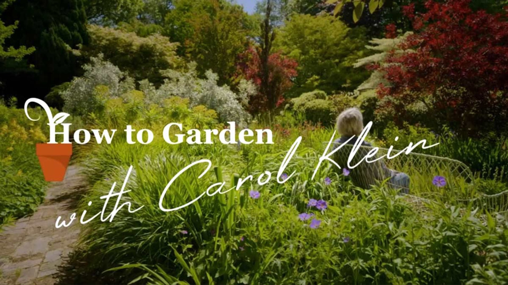 How to Garden With Carol Klein