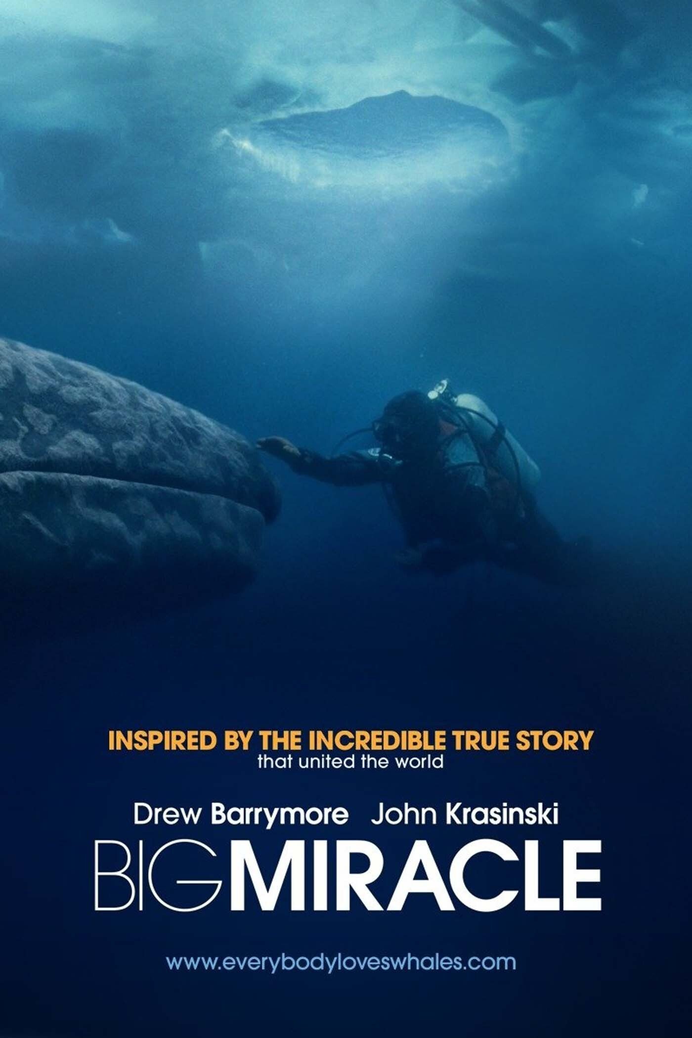 Big Miracle