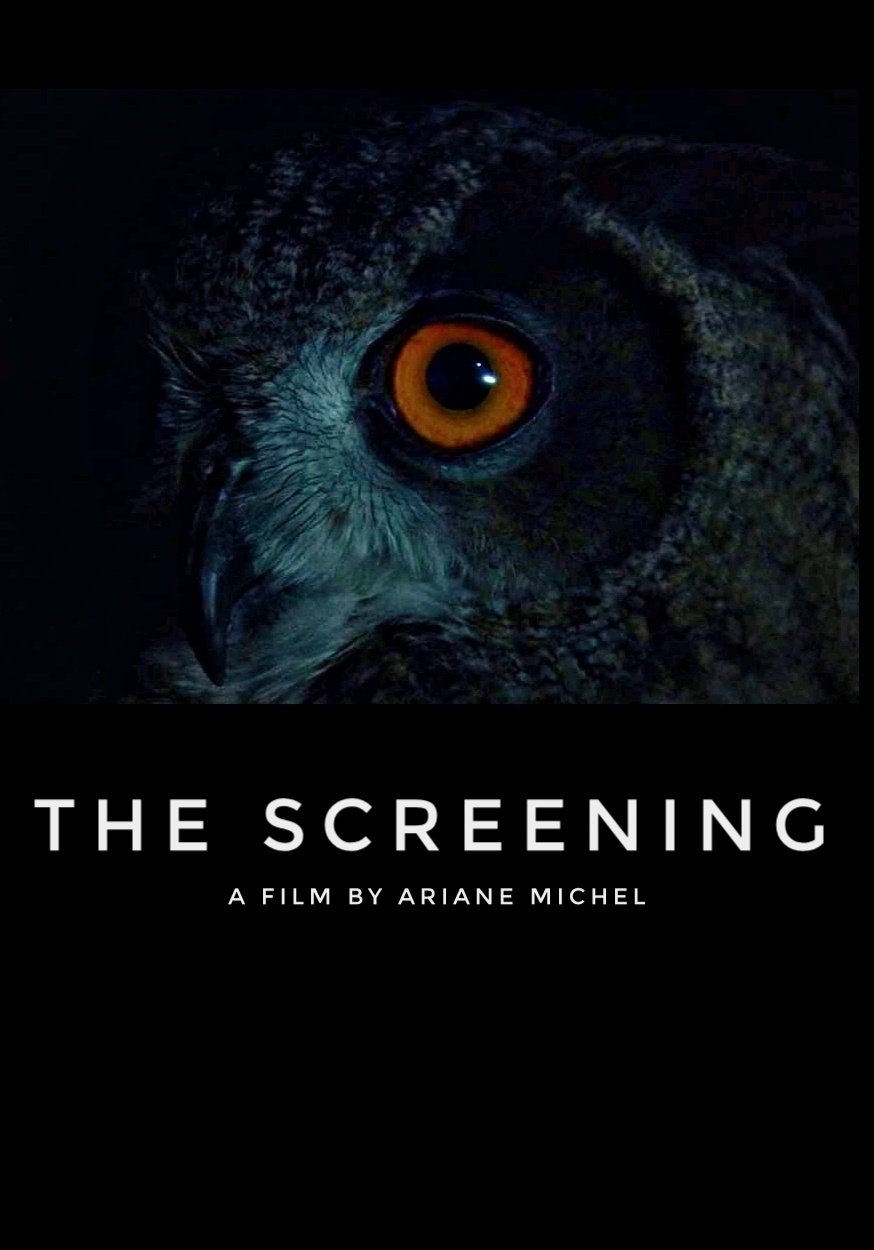 Content cover