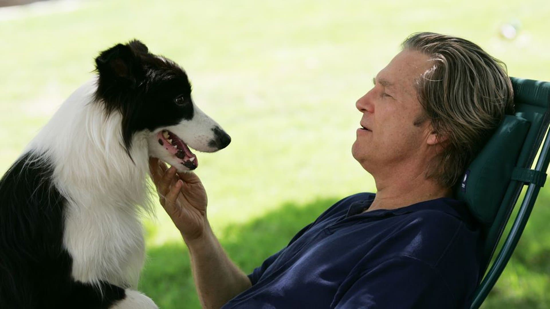 Pet Therapy - Un cane per amico (2009)