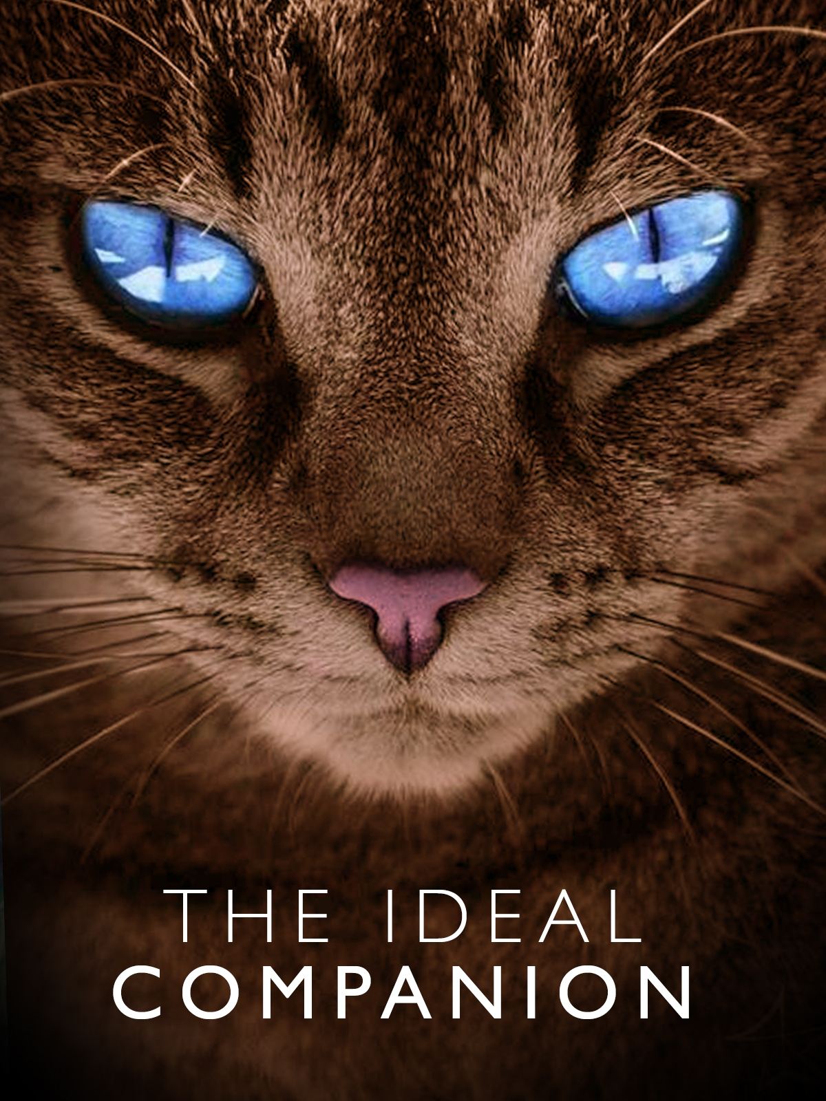 Content cover