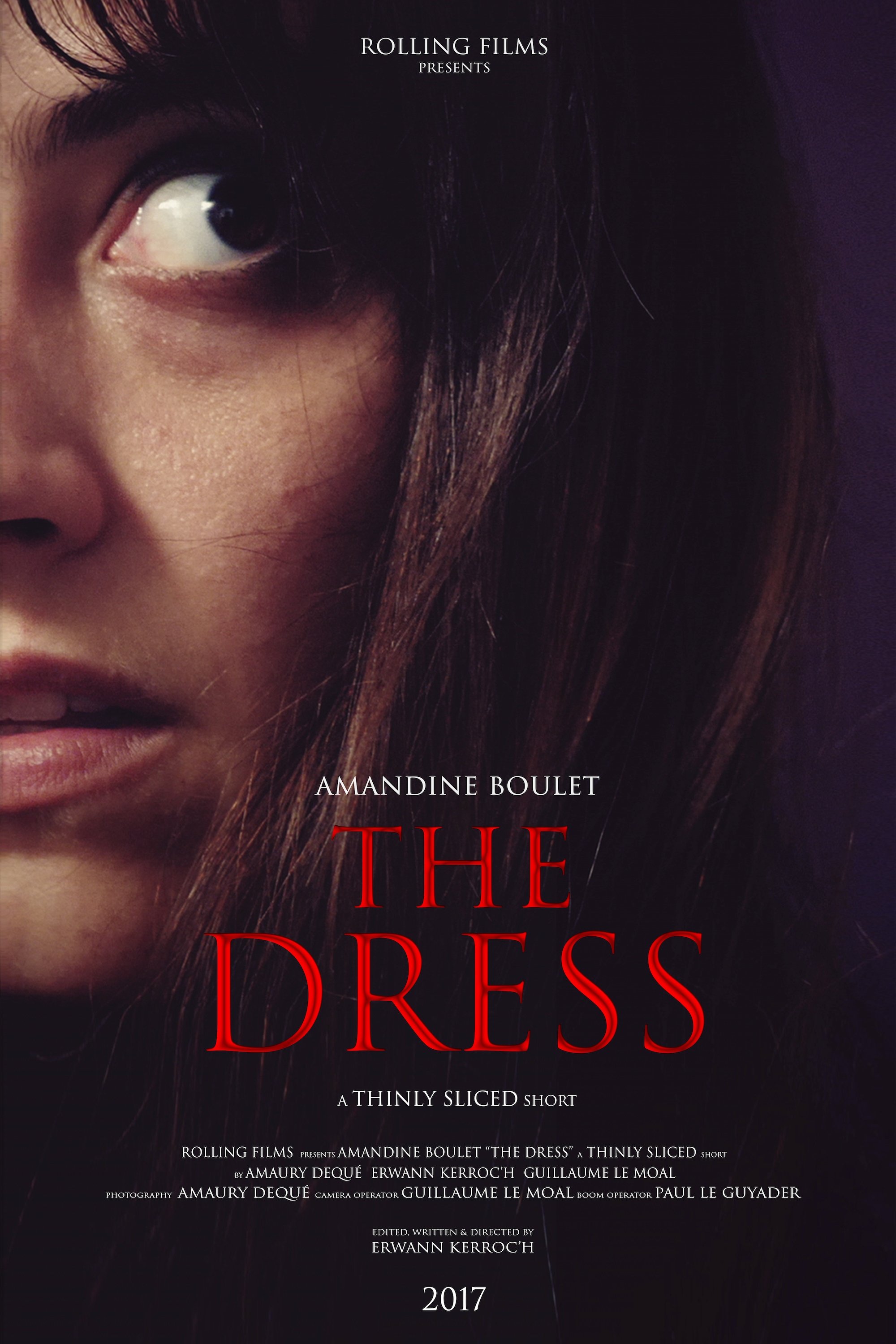 The Dress The Dress