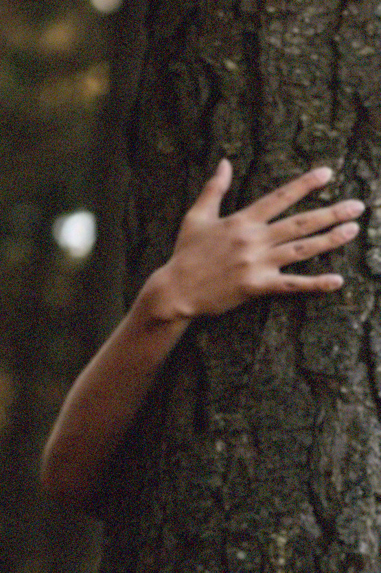 Sur le chemin de la réconciliation