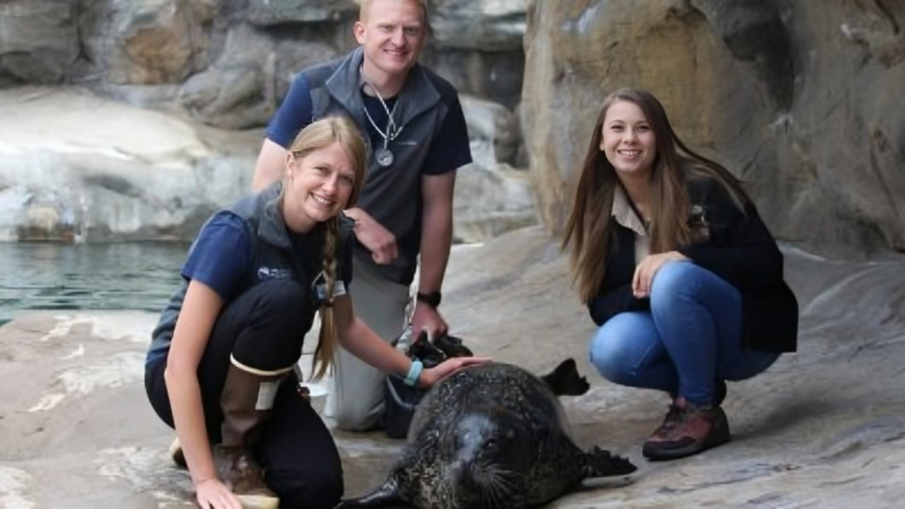 Crikey! It's the Irwins