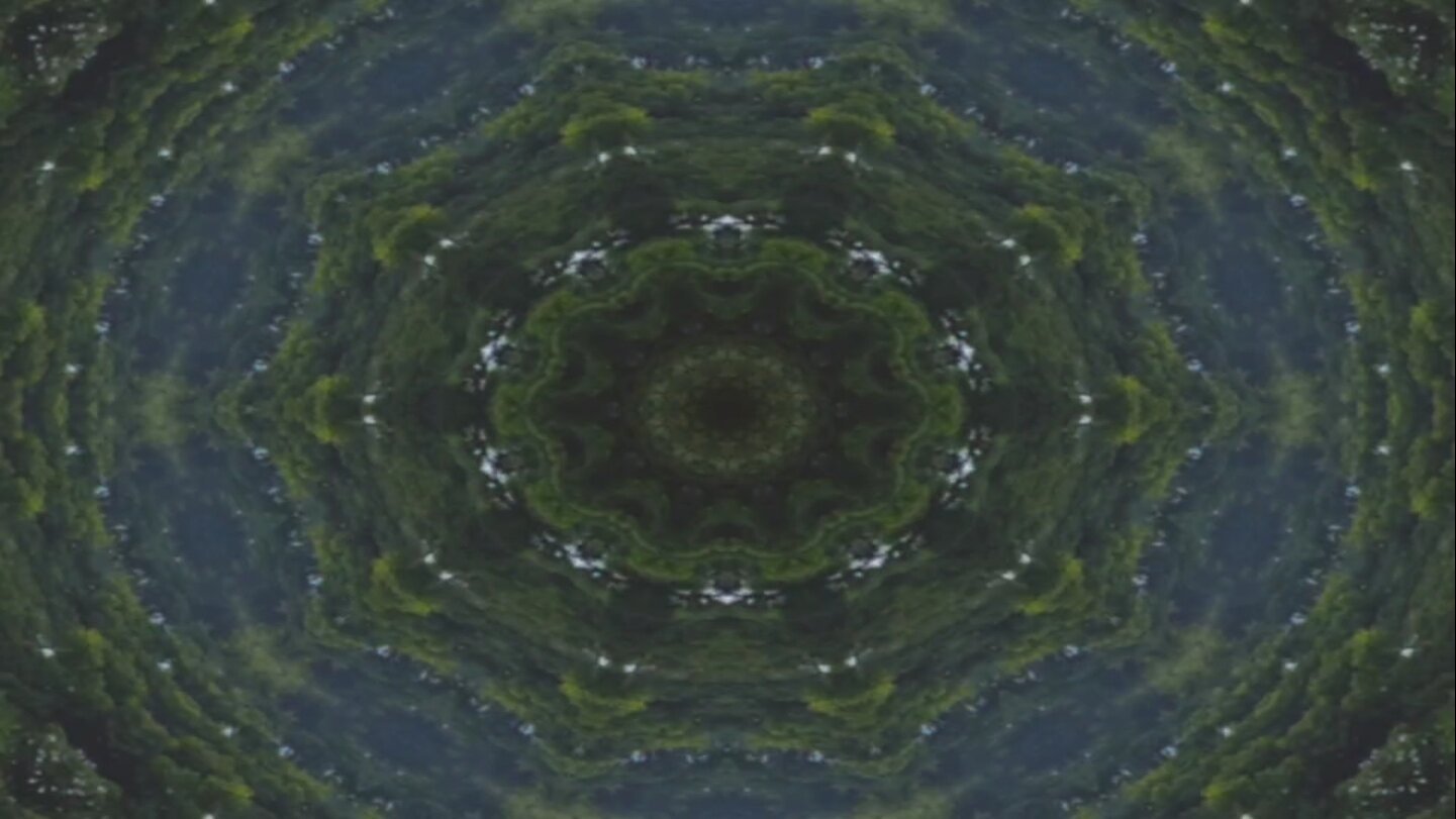 Fleshworm Dreams (2024)