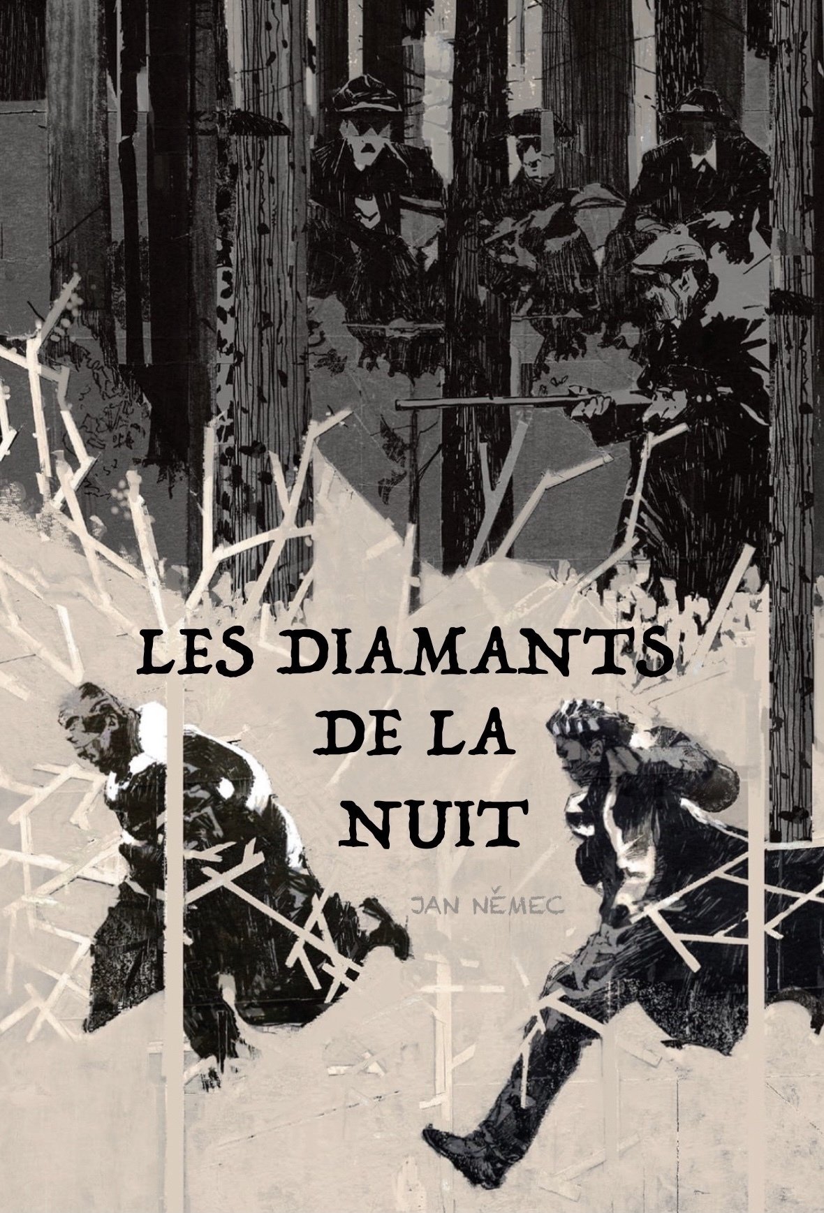 Affiche du film Les Diamants de la nuit 139088