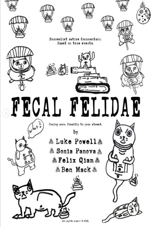 Fecal Felidae