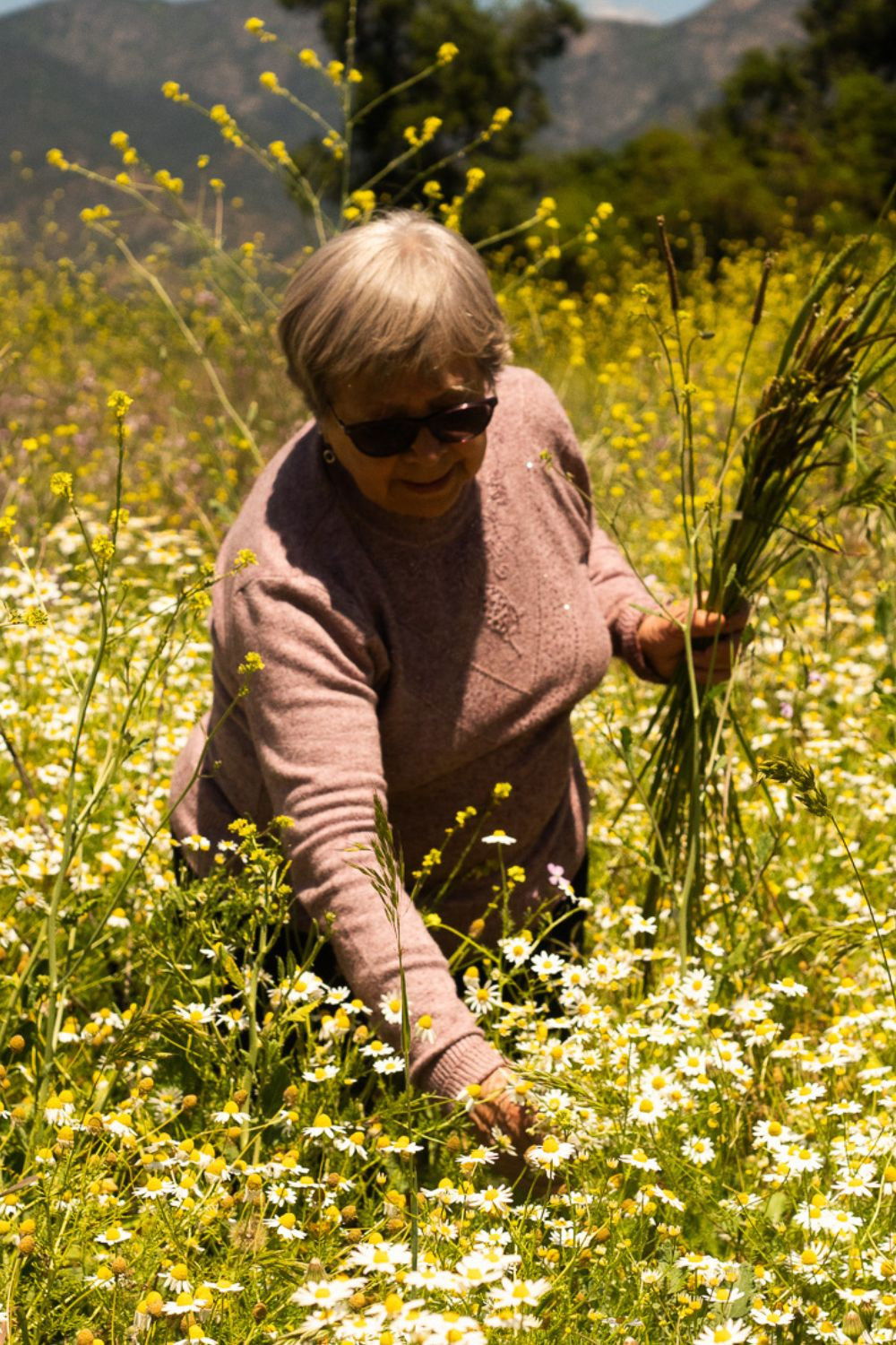 et billede af Gladys González