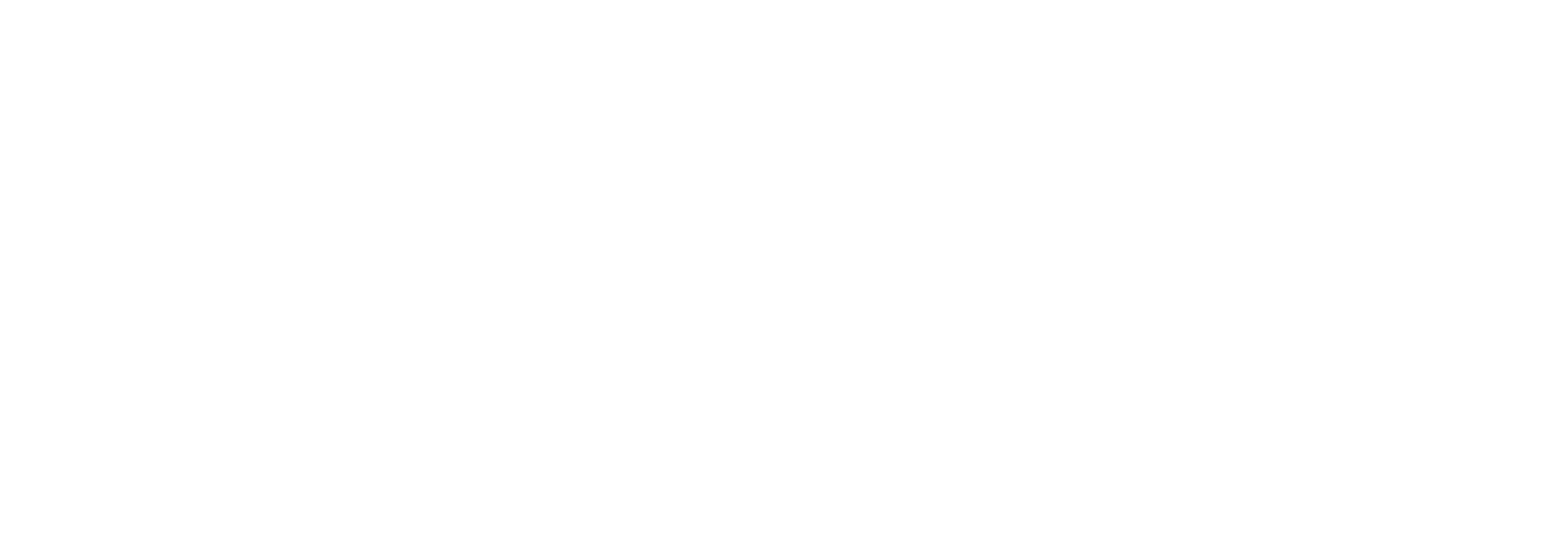 The Tourist Logo
