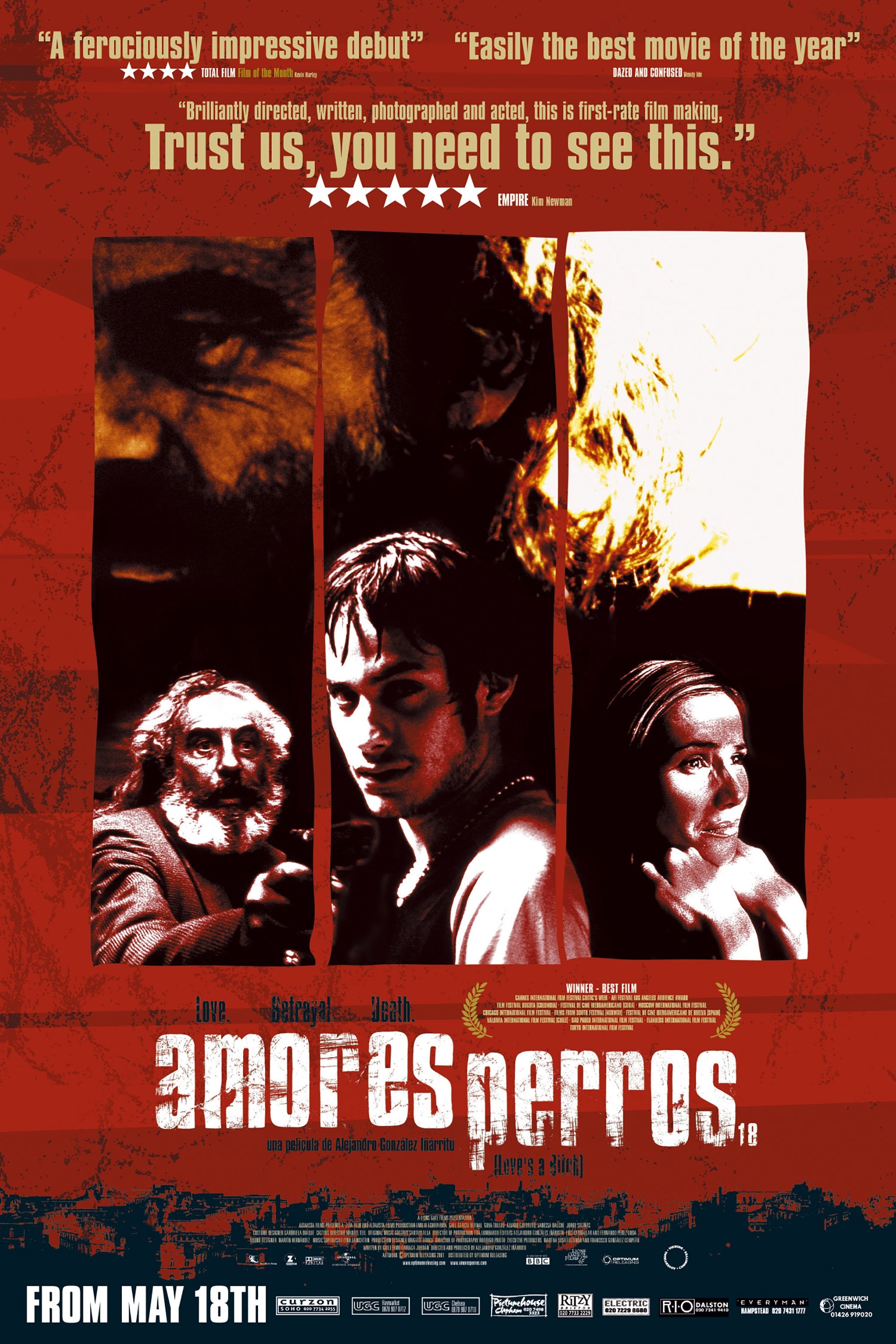 Amores Perros