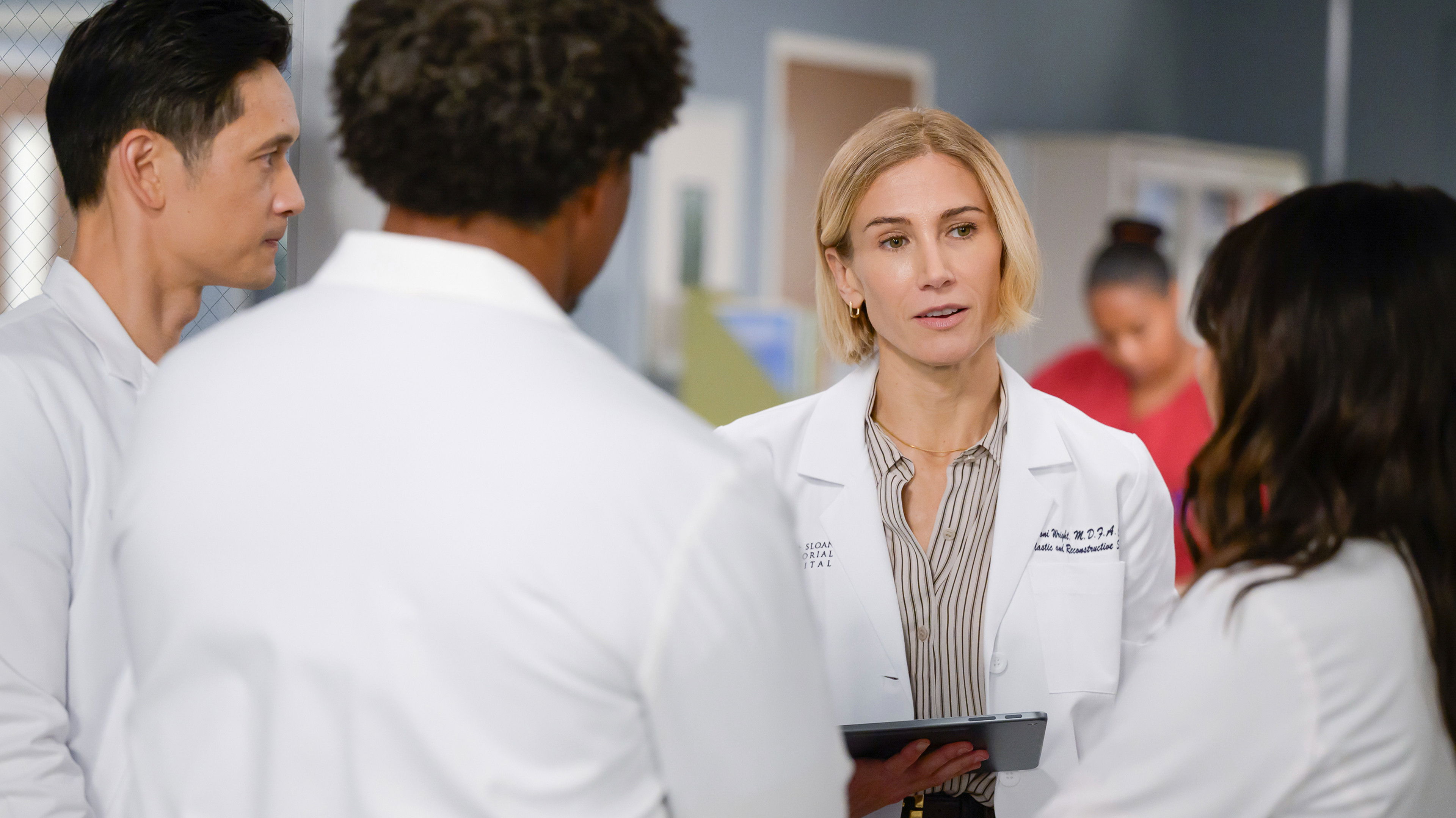 Grey's Anatomy Season 22 :Episode 11  (If You Want It) Do It Yourself