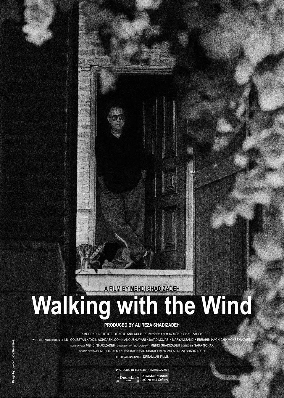 Poster for Walking With the Wind