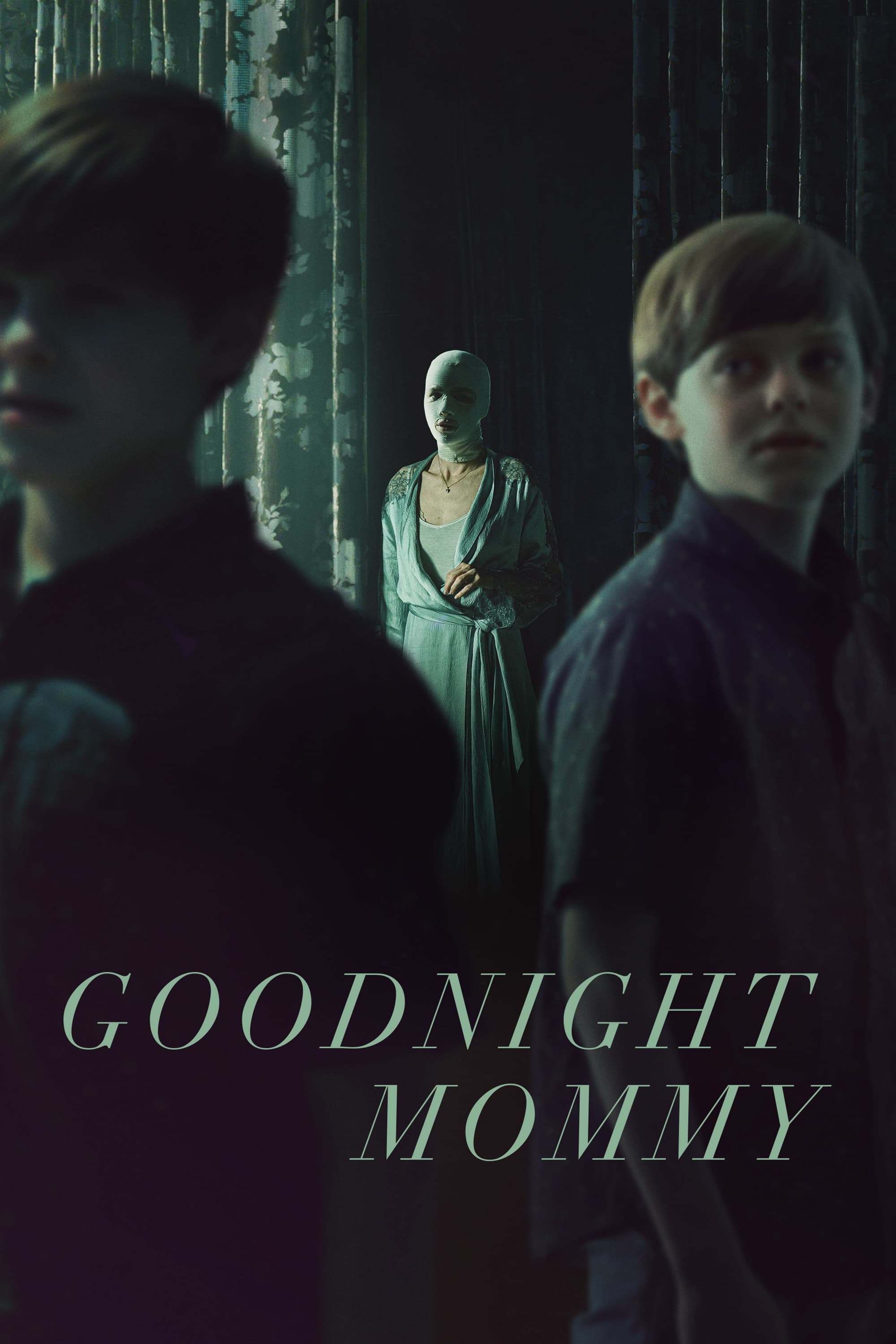 Goodnight Mommy poster cover