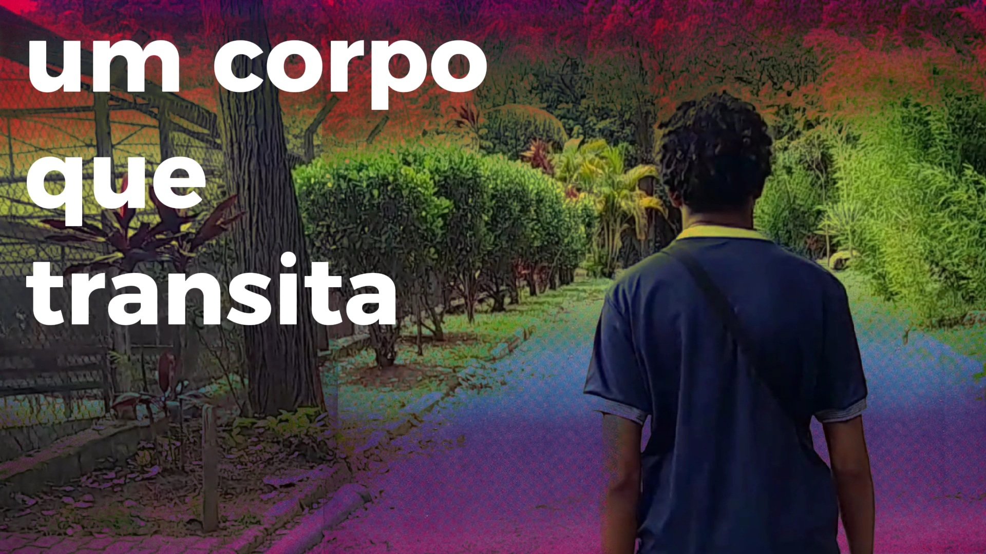 Um Corpo que Transita