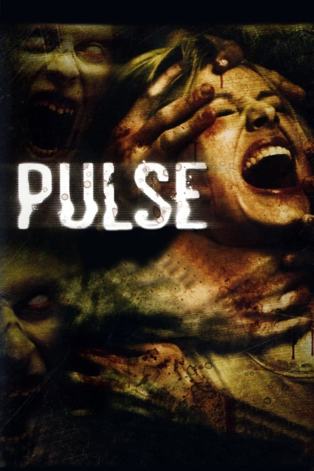 Pulse