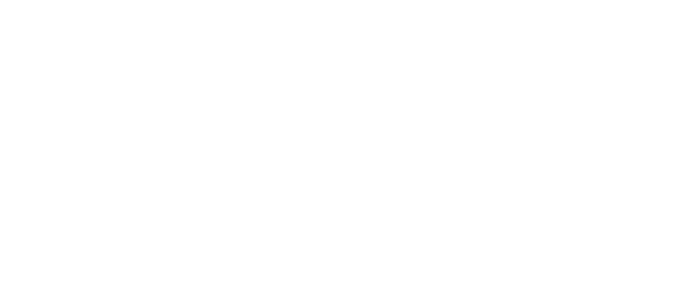 The Magnificent Butcher Logo