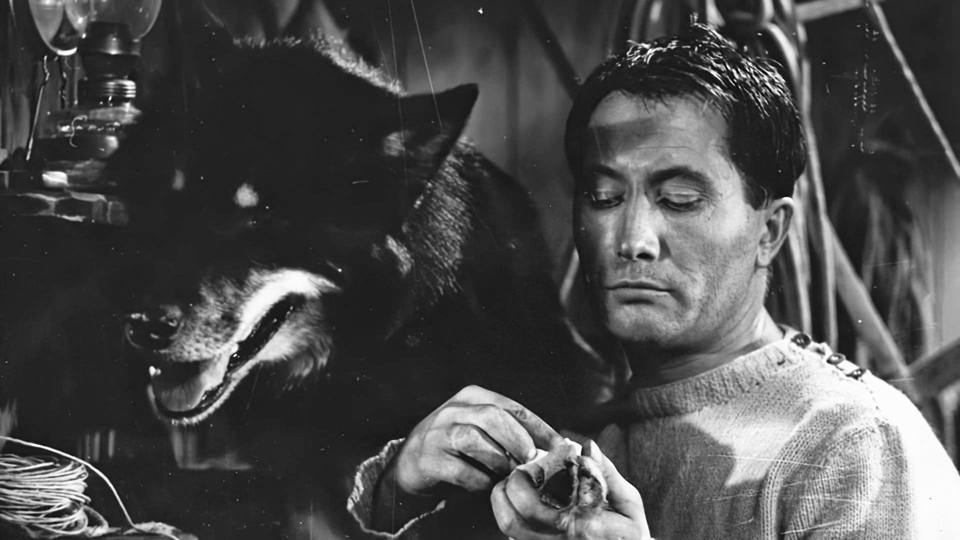 White Tracks (1963)