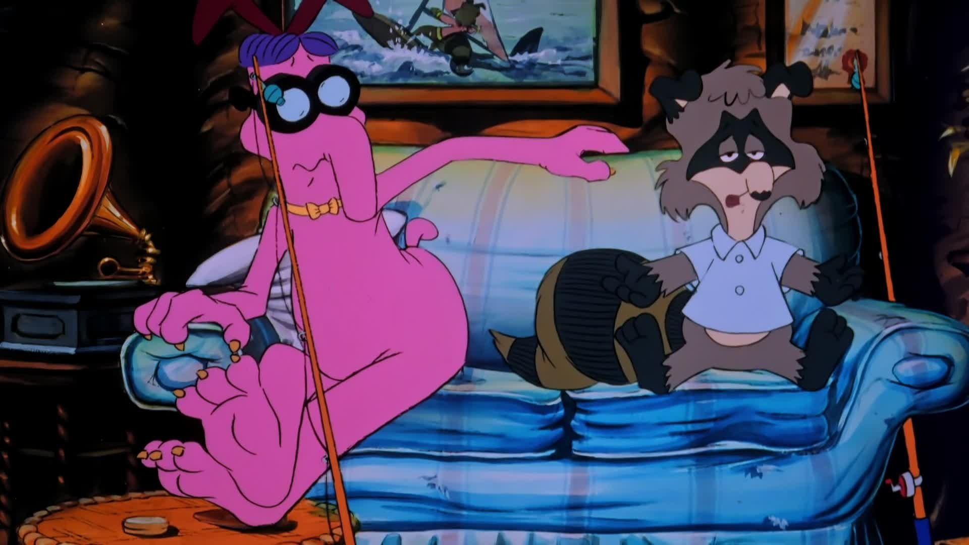 The Raccoons